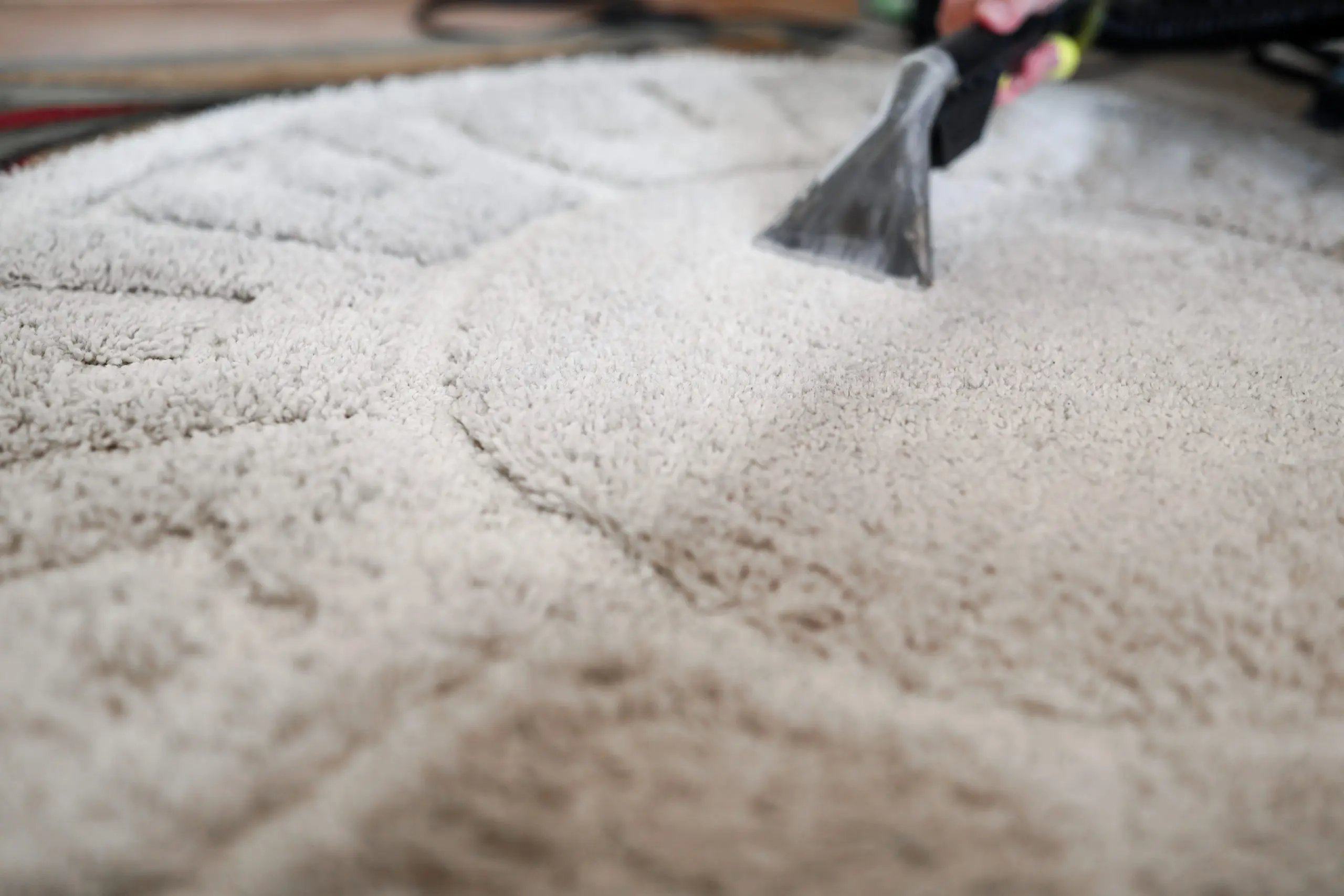 Carpet Cleaning specialist