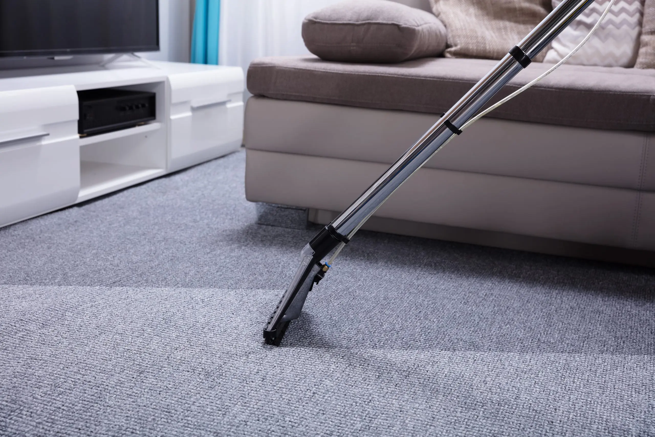 professional Carpet Cleaning