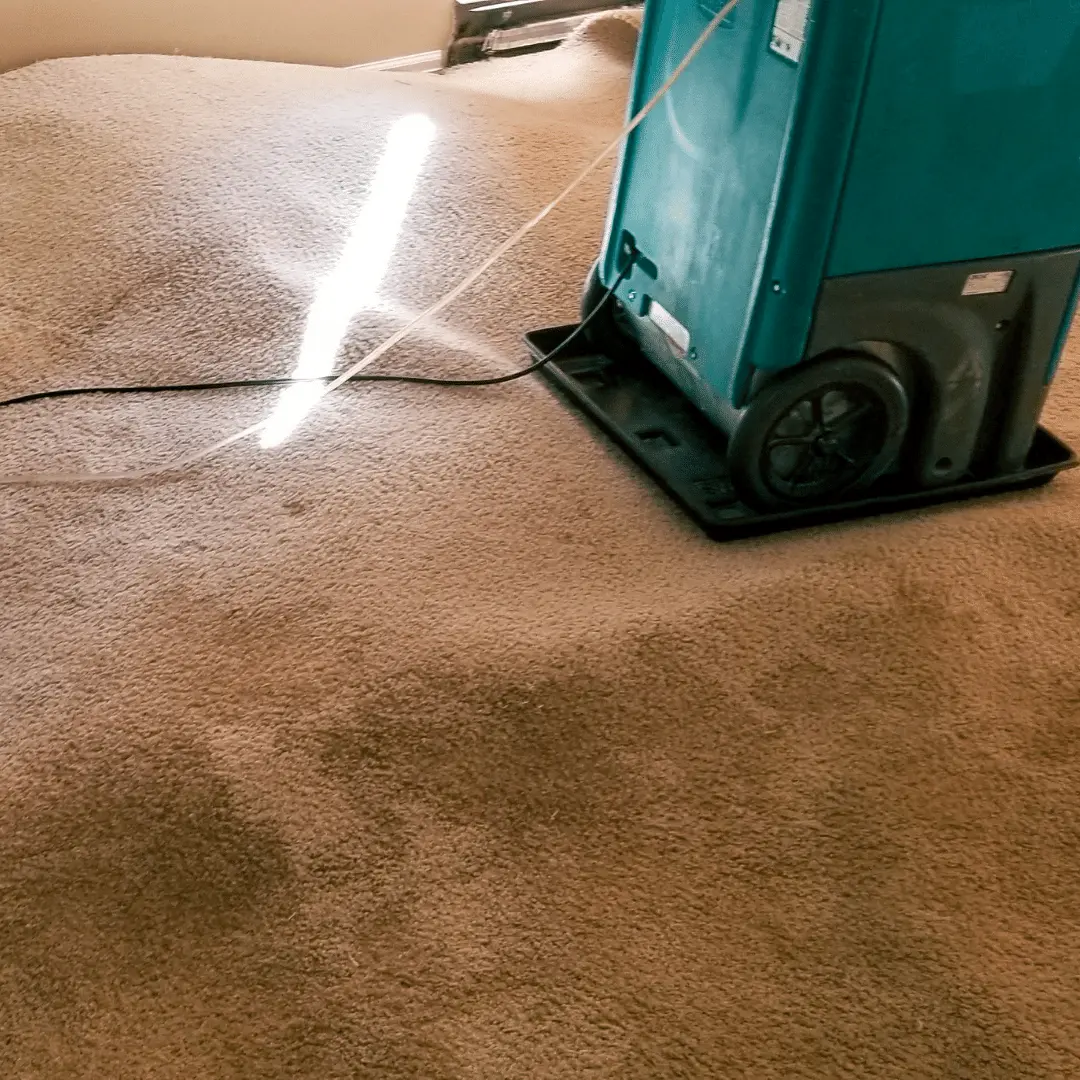 Carpet Cleaning pros