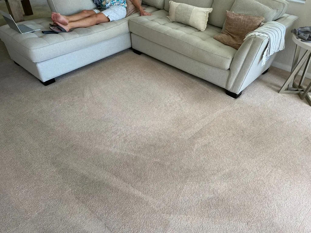 reputable Carpet Cleaning